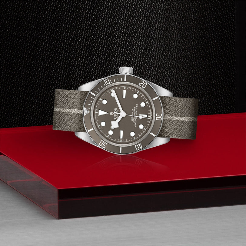 A TUDOR Black Bay 58 925 divers watch with a gray leather strap and gray dial is displayed on a red and black geometric surface against a textured black background.