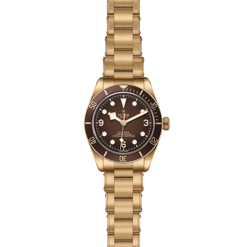 The TUDOR Black Bay 58 Bronze is a gold-toned Swiss-made wristwatch with bronze construction, brown bezel and dial, round hour markers, and a metal link bracelet—an elegant piece displayed on a white background.