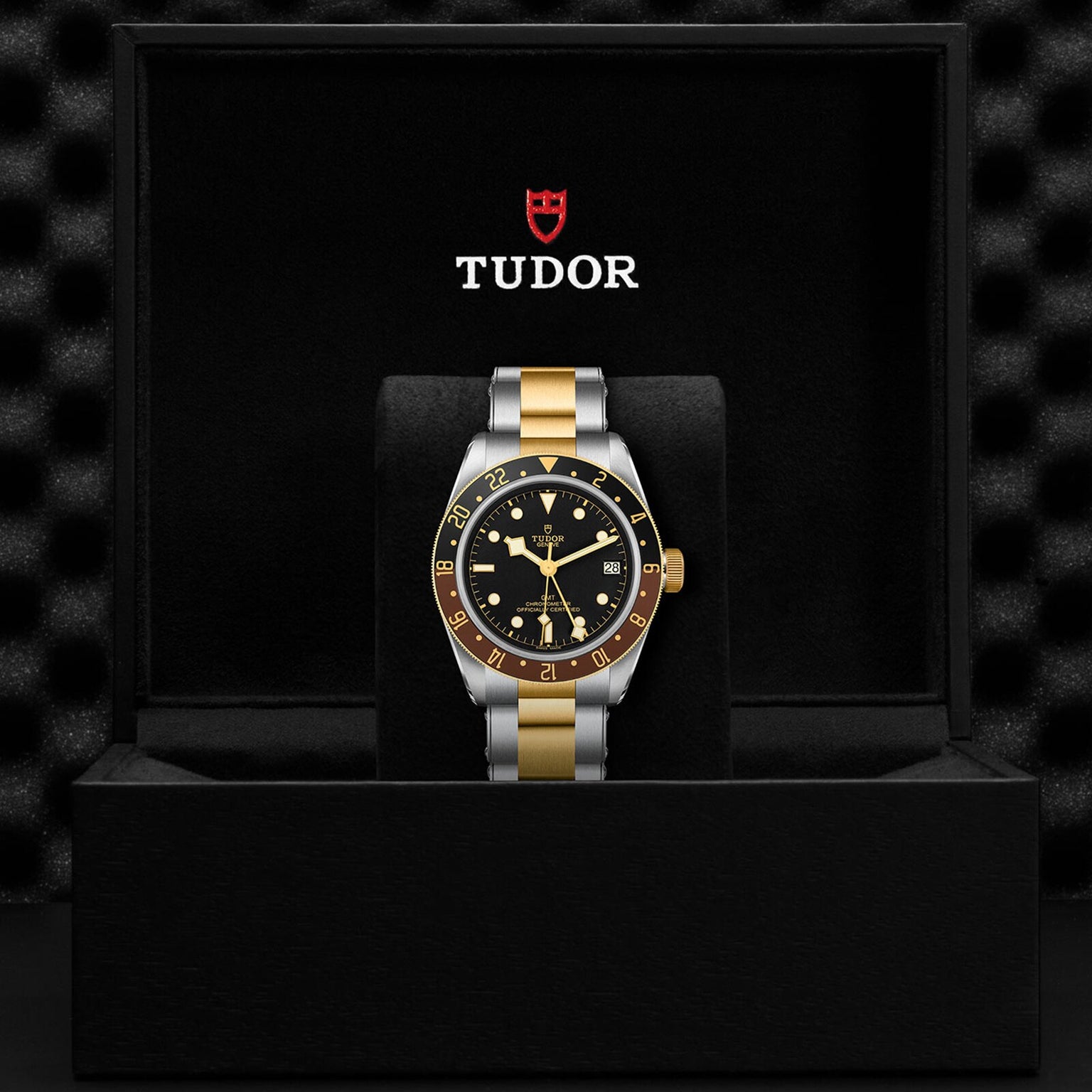 The TUDOR Black Bay GMT S&G, featuring a black and yellow gold bezel, black dial, and silver and gold bracelet, is displayed in an open black TUDOR box—a striking example of the brand’s diver watch collection.