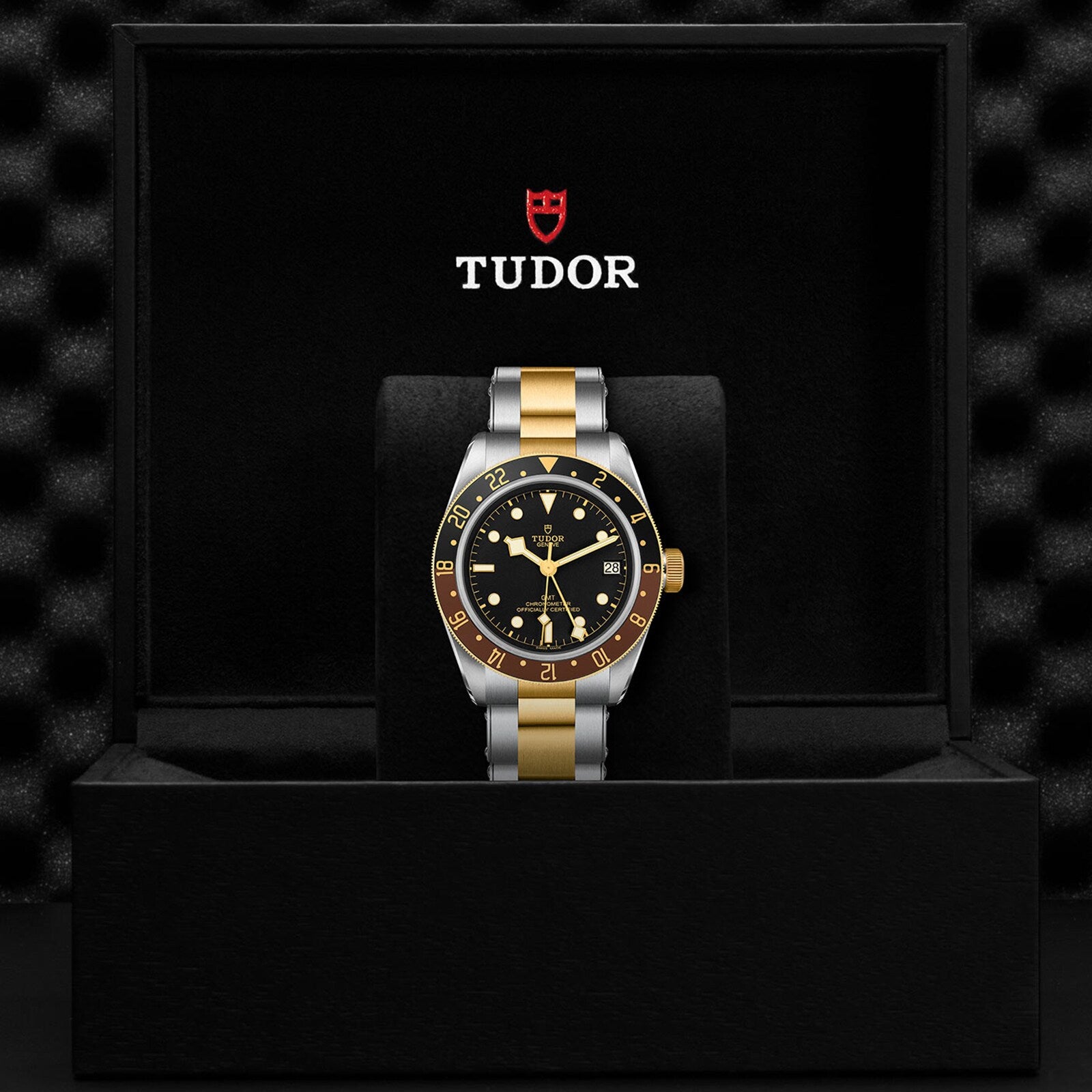 The TUDOR Black Bay GMT S&G, featuring a black and yellow gold bezel, black dial, and silver and gold bracelet, is displayed in an open black TUDOR box—a striking example of the brand’s diver watch collection.