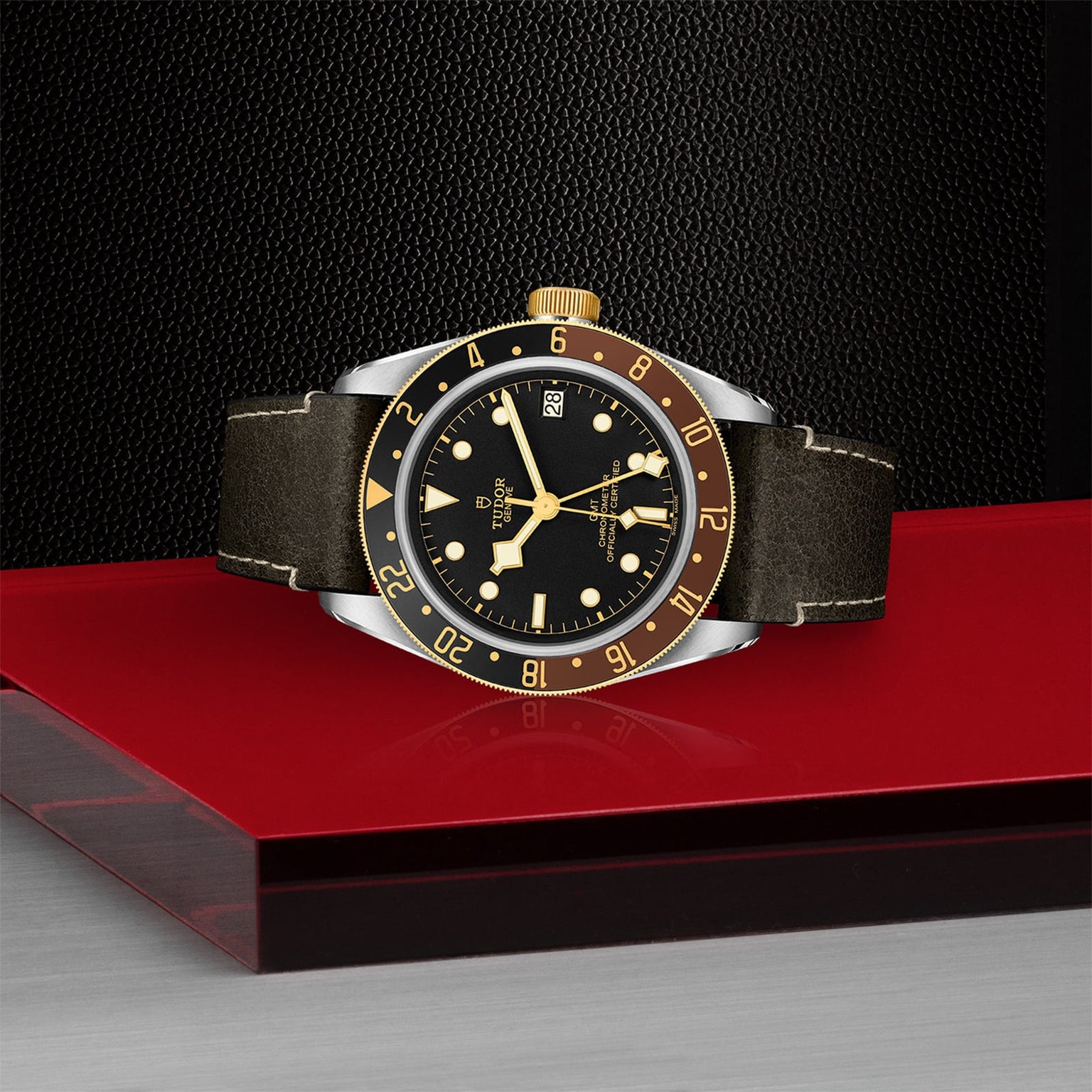 The TUDOR Black Bay GMT S&G, a black and yellow gold wristwatch with a leather strap inspired by Black Bay divers, is displayed on a red and gray surface against a textured black background.