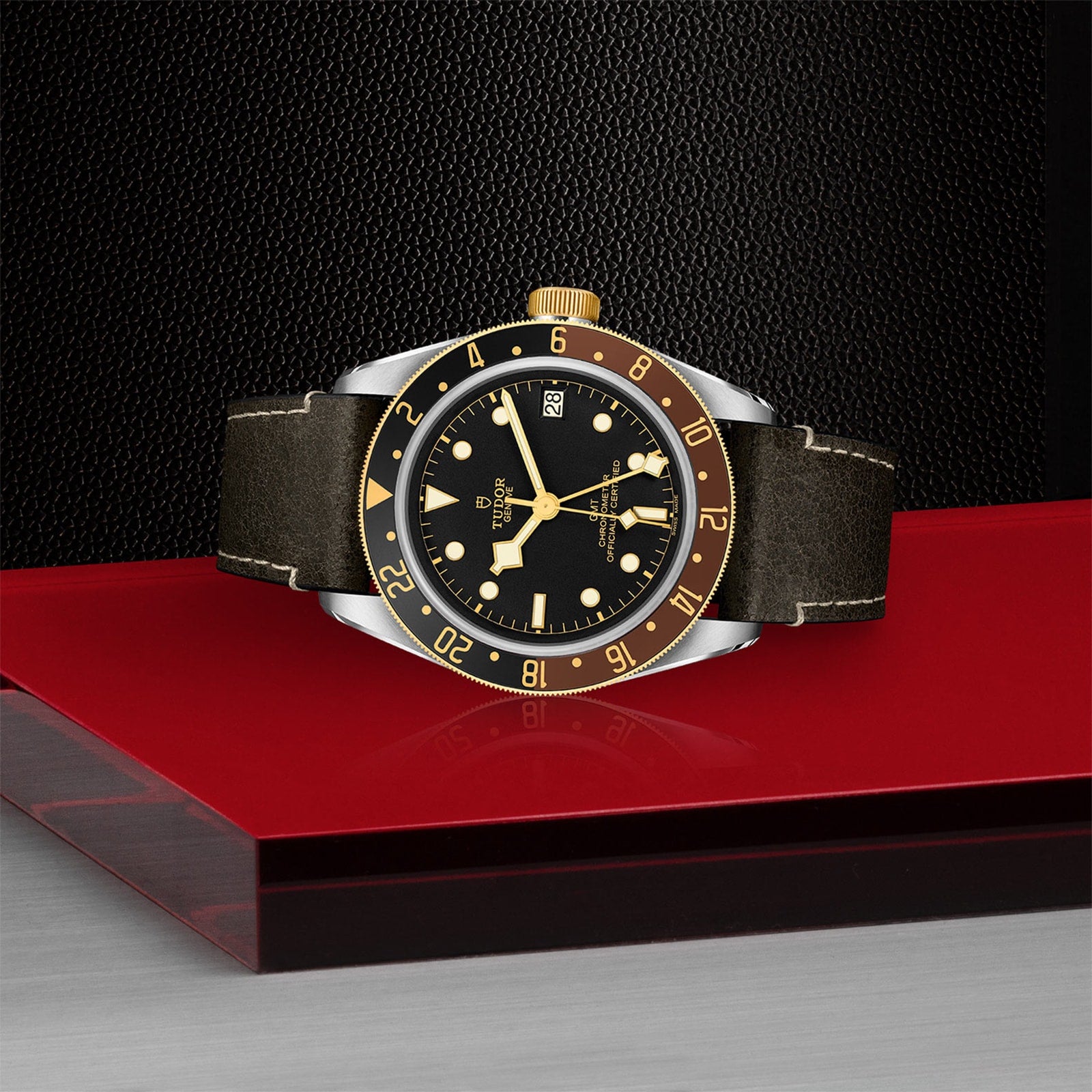 The TUDOR Black Bay GMT S&G, a black and yellow gold wristwatch with a leather strap inspired by Black Bay divers, is displayed on a red and gray surface against a textured black background.