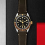 A TUDOR Black Bay GMT S&G watch with a black dial, yellow gold bezel, and black leather strap rests on a textured black and red surface beside a brushed metal panel, highlighting the sophistication of TUDOR’s diver-inspired timepieces.
