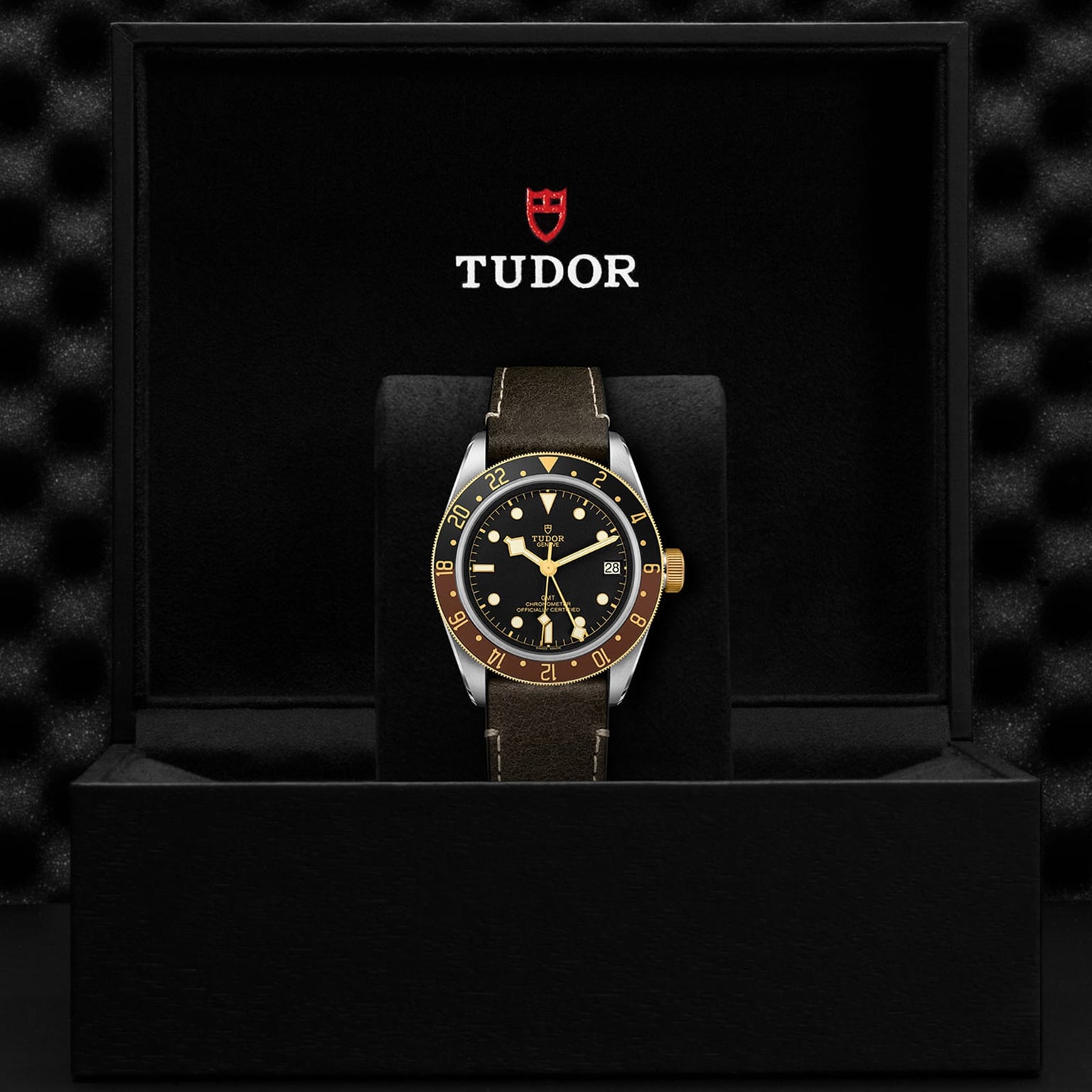 A TUDOR Black Bay GMT S&G wristwatch with a black and yellow gold bezel is displayed in an open black presentation box featuring the TUDOR logo, highlighting the heritage of TUDOR divers’ watches.
