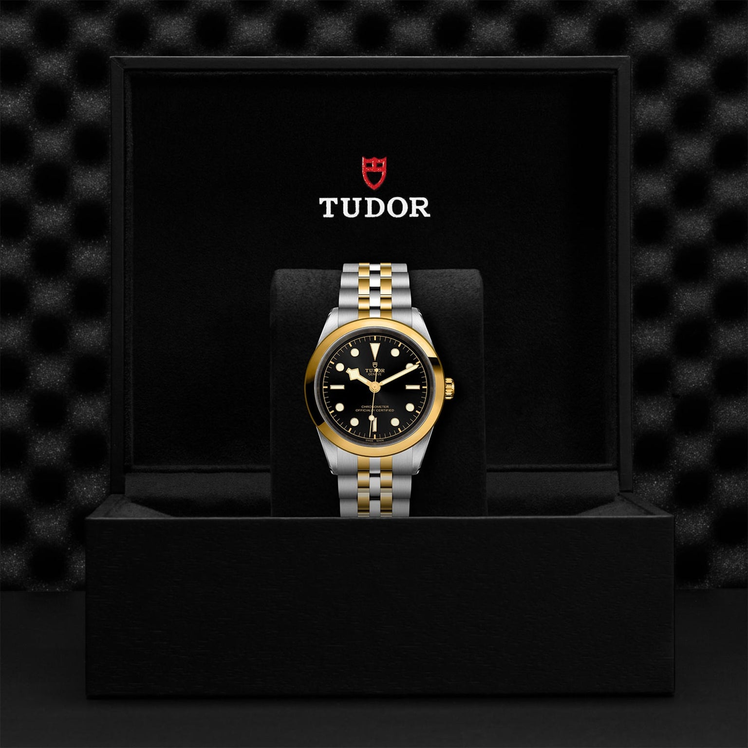 A TUDOR Black Bay One 41 S&G wristwatch with a black and gold face and two-tone metal band is displayed upright in an open black TUDOR box.