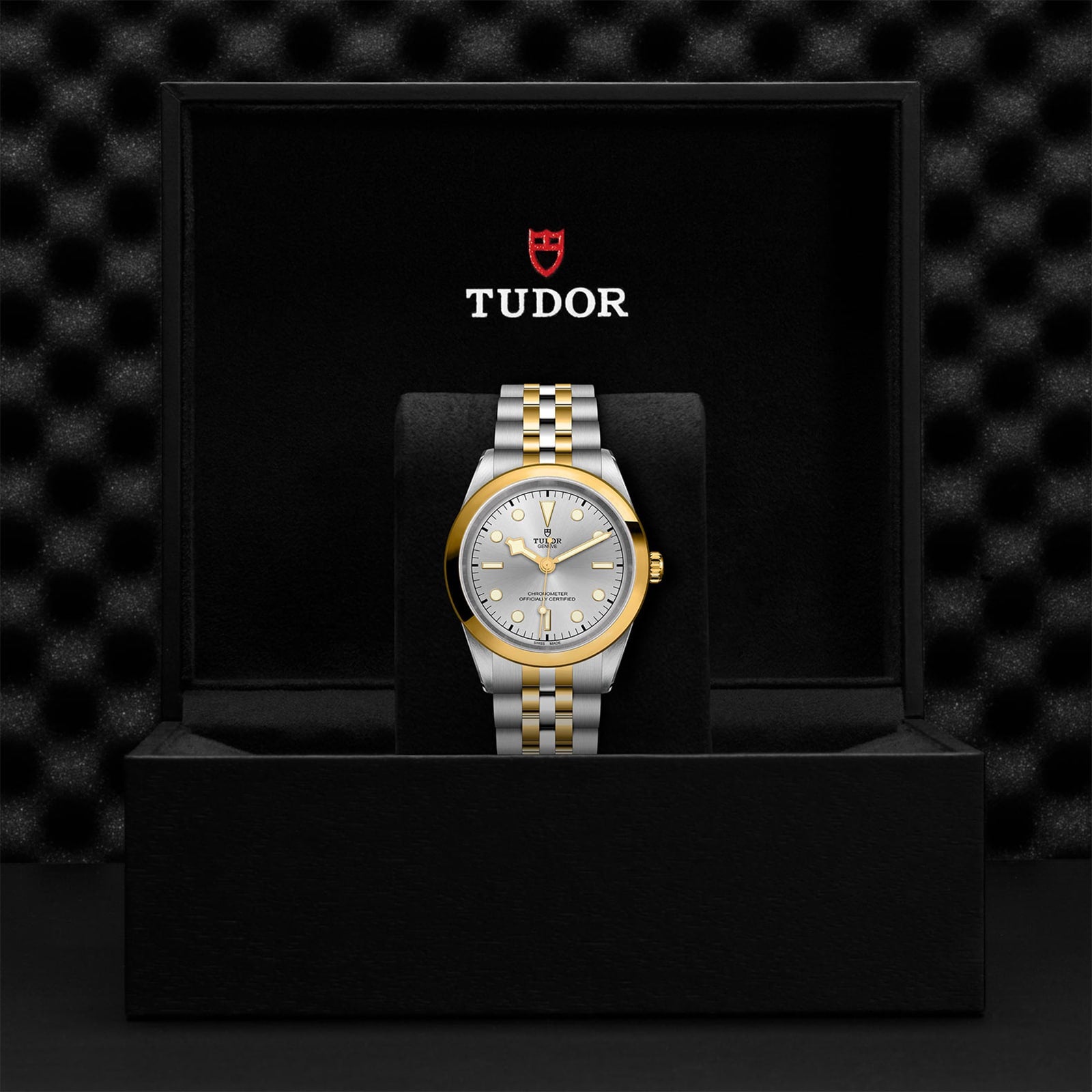 The TUDOR Black Bay One 41 S&G wristwatch, featuring silver and gold tones with a metal bracelet, is presented upright in an open black TUDOR box against a textured black background.