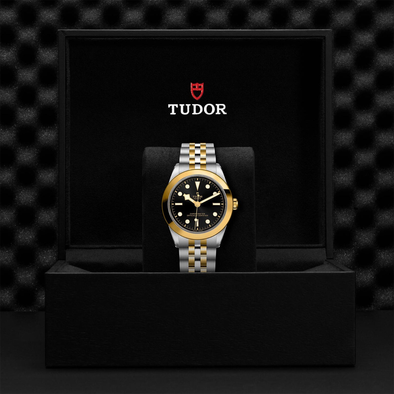 A TUDOR Black Bay One 39 S&G wristwatch with a black and gold dial and two-tone bracelet is displayed in an open black TUDOR watch box, highlighting the signature style of TUDOR diving watches.