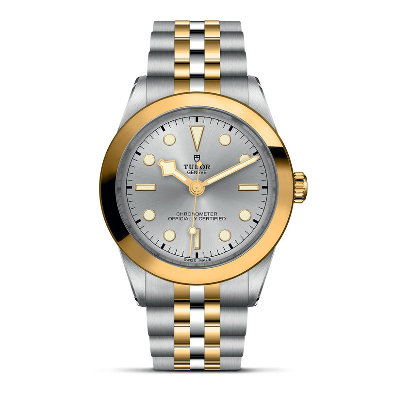 The TUDOR Black Bay One 39 S&G wristwatch features a silver and gold metal bracelet, gold bezel, silver dial, and gold markers and hands, displayed against a white background.