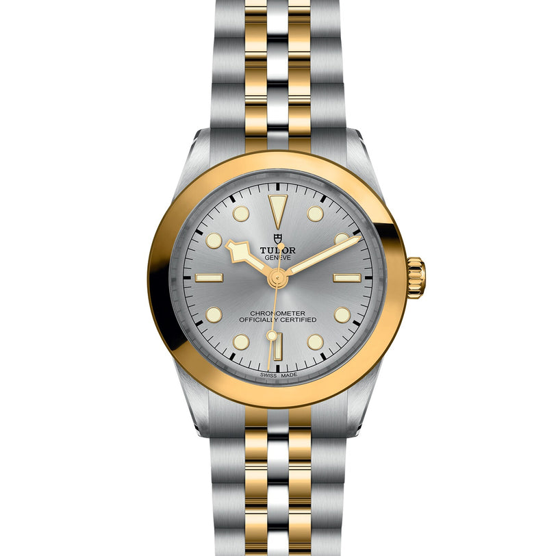 The TUDOR Black Bay One 39 S&G features a silver and gold bezel, silver dial, gold markers and hands, plus a two-tone bracelet—ideal for those who appreciate distinguished or elegant diving watches.