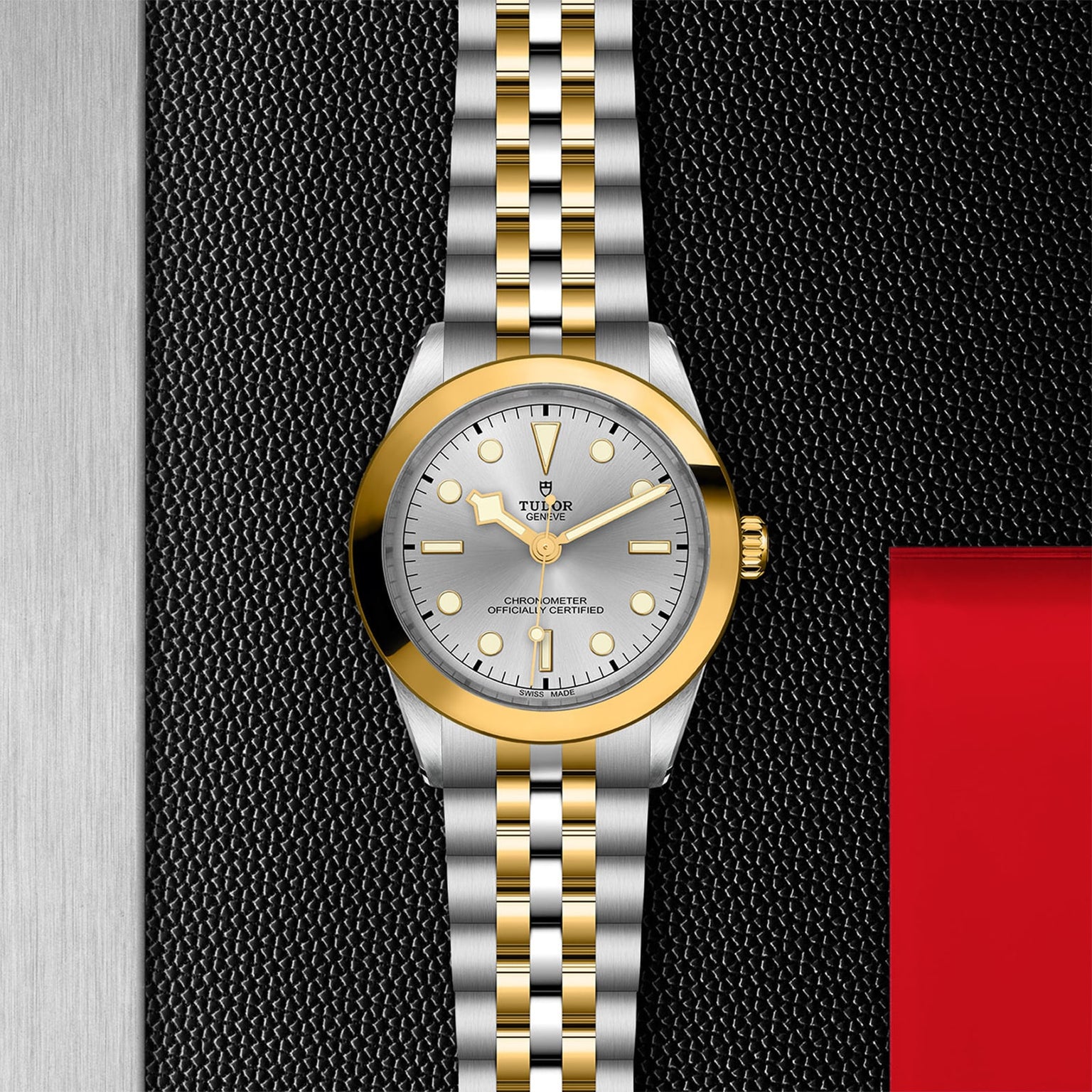 The TUDOR Black Bay One 39 S&G features a silver and gold bracelet, silver dial, and gold bezel, shown on a textured black and metallic background with a red accent.