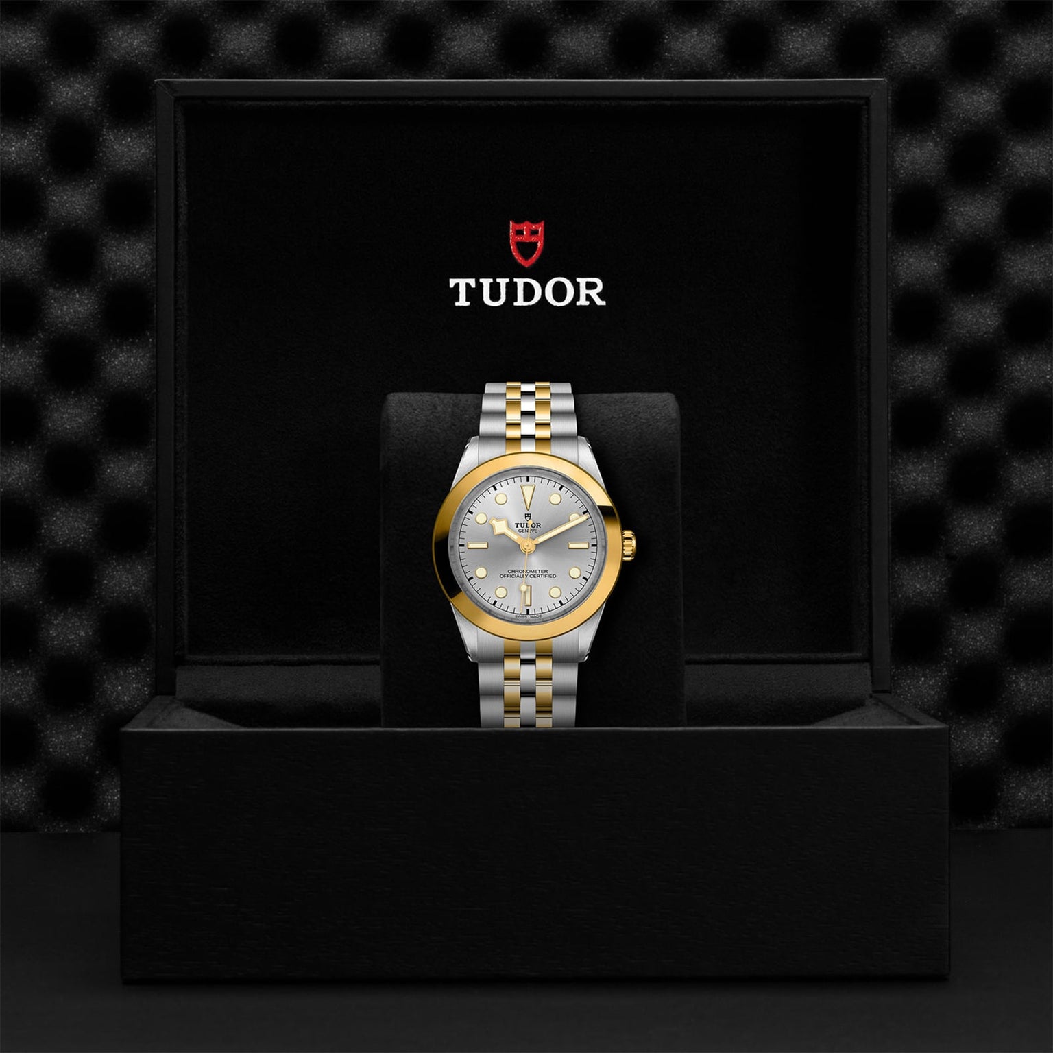 The TUDOR Black Bay One 39 S&G, a two-tone wristwatch with a gold and silver bracelet, is displayed upright in an open black TUDOR box.
