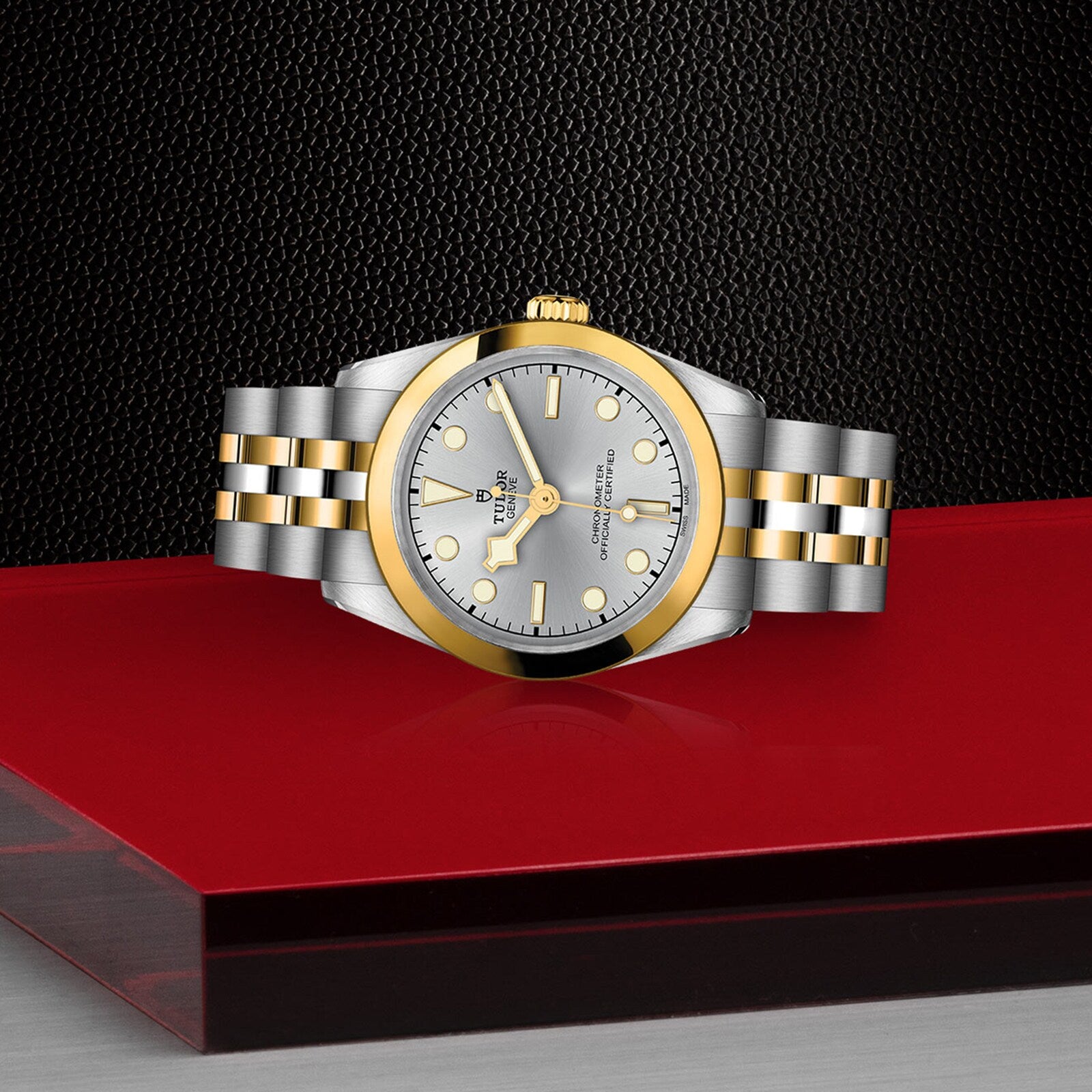 The TUDOR Black Bay One 31 S&G, a two-tone stainless steel and gold watch with a silver dial, is displayed on a red and black textured surface, exemplifying the signature elegance of Black Bay diving watches.