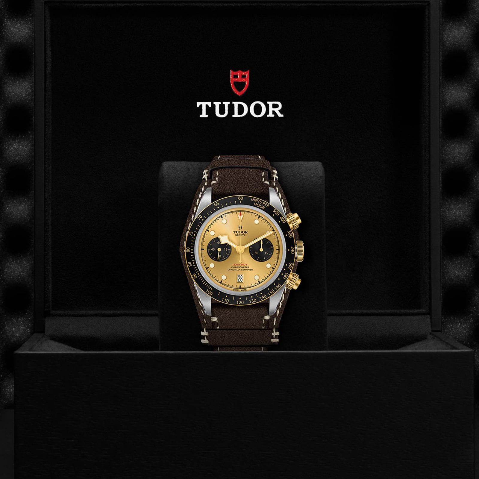 The TUDOR Black Bay Chrono S&G wristwatch, featuring a gold and black dial and brown strap, is elegantly displayed upright in a black Tudor-branded box—a refined addition to your automatic sport-chic collection.