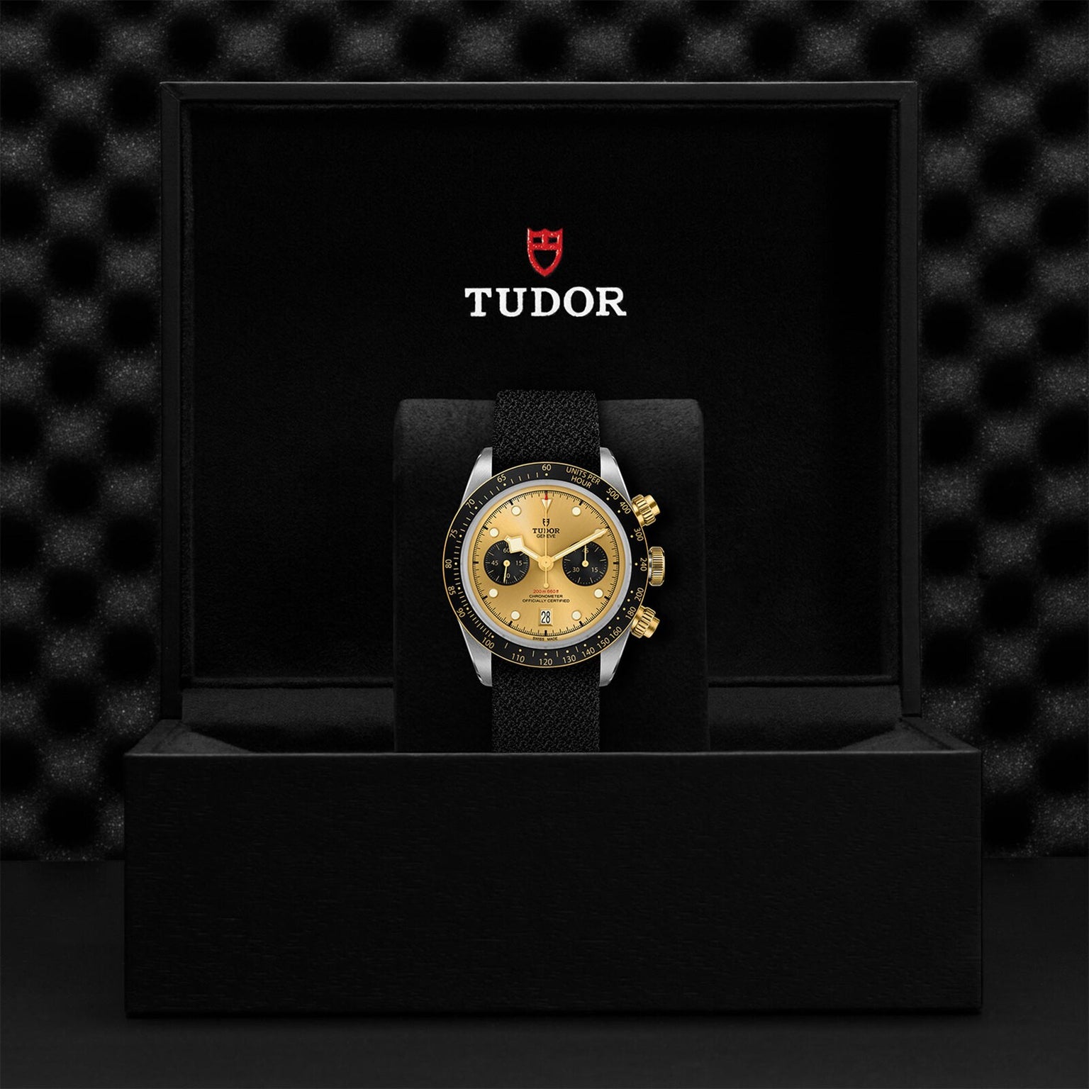 A TUDOR Black Bay Chrono S&G wristwatch with a gold dial and black strap is presented in an open black TUDOR box, featuring the iconic logo—a timeless nod to the heritage of TUDOR diving watches.