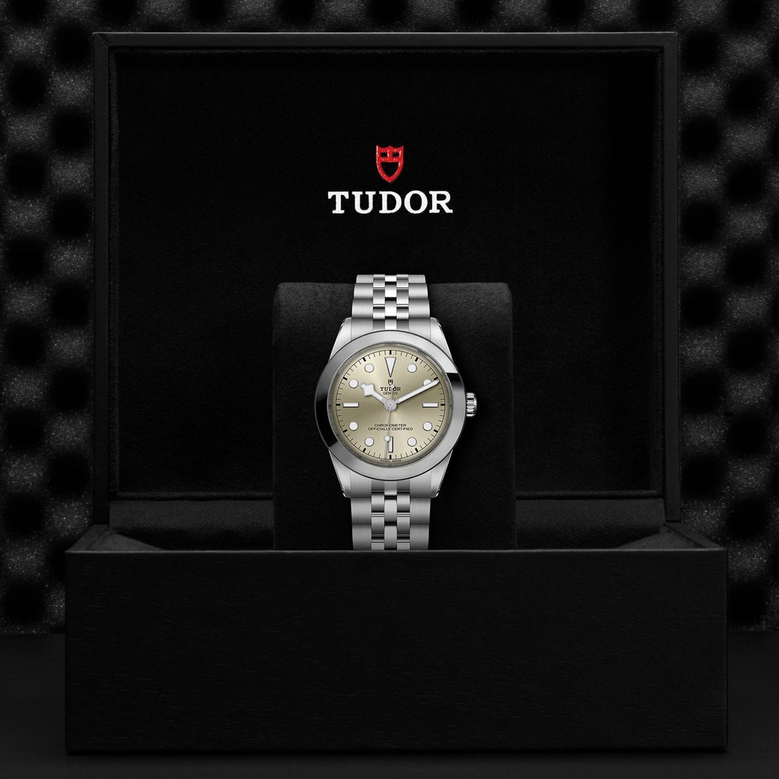The TUDOR Black Bay One 39 wristwatch, featuring a silver band and beige dial, is displayed upright in an open black TUDOR presentation box.
