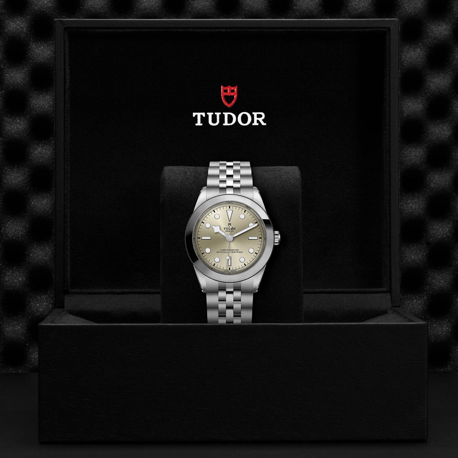 The TUDOR Black Bay One 39 wristwatch, featuring a silver band and beige dial, is displayed upright in an open black TUDOR presentation box.
