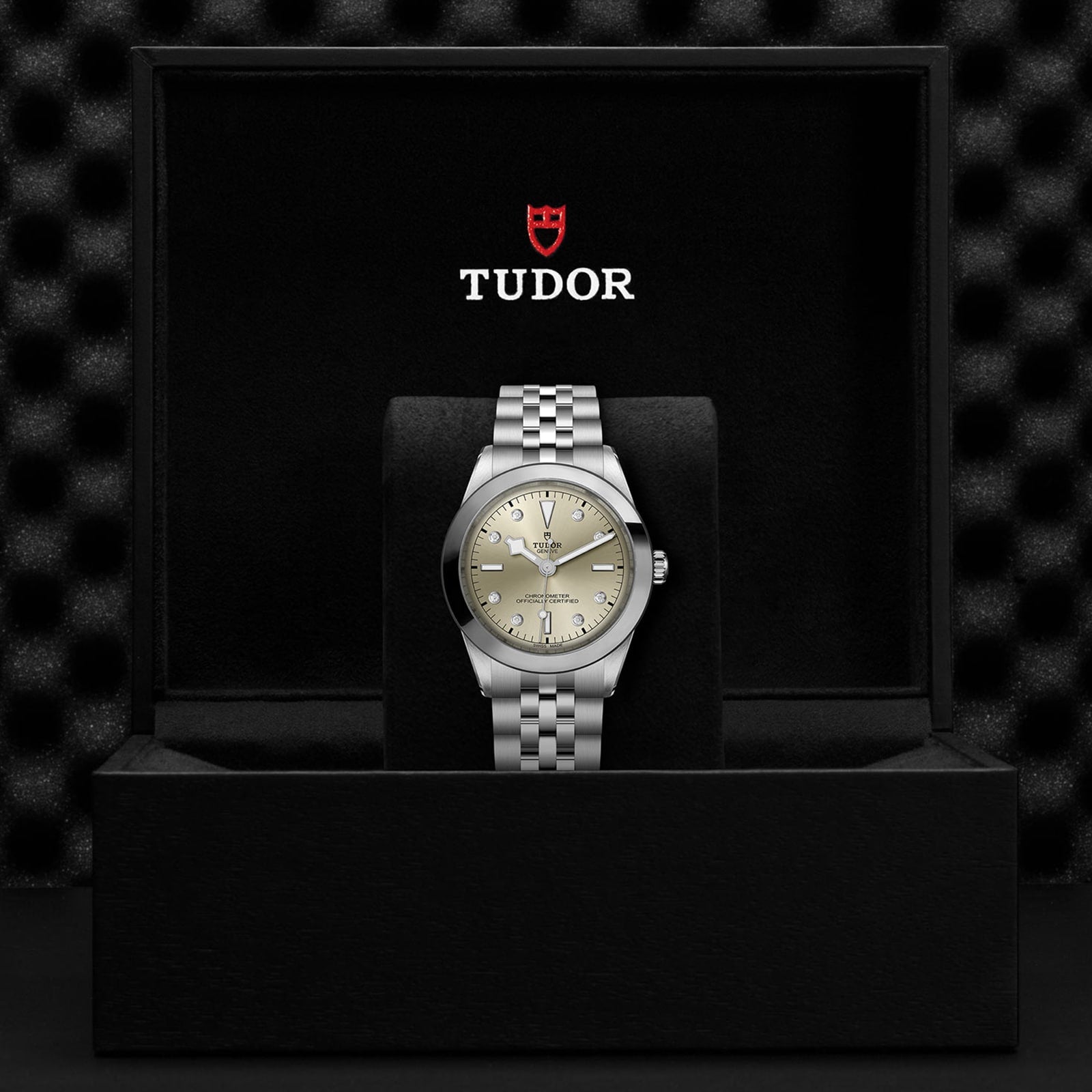 The TUDOR Black Bay One 39 unisex watch, featuring a 316L steel bracelet and champagne dial, is displayed in an open black box with the TUDOR logo—a nod to classic Black Bay models.
