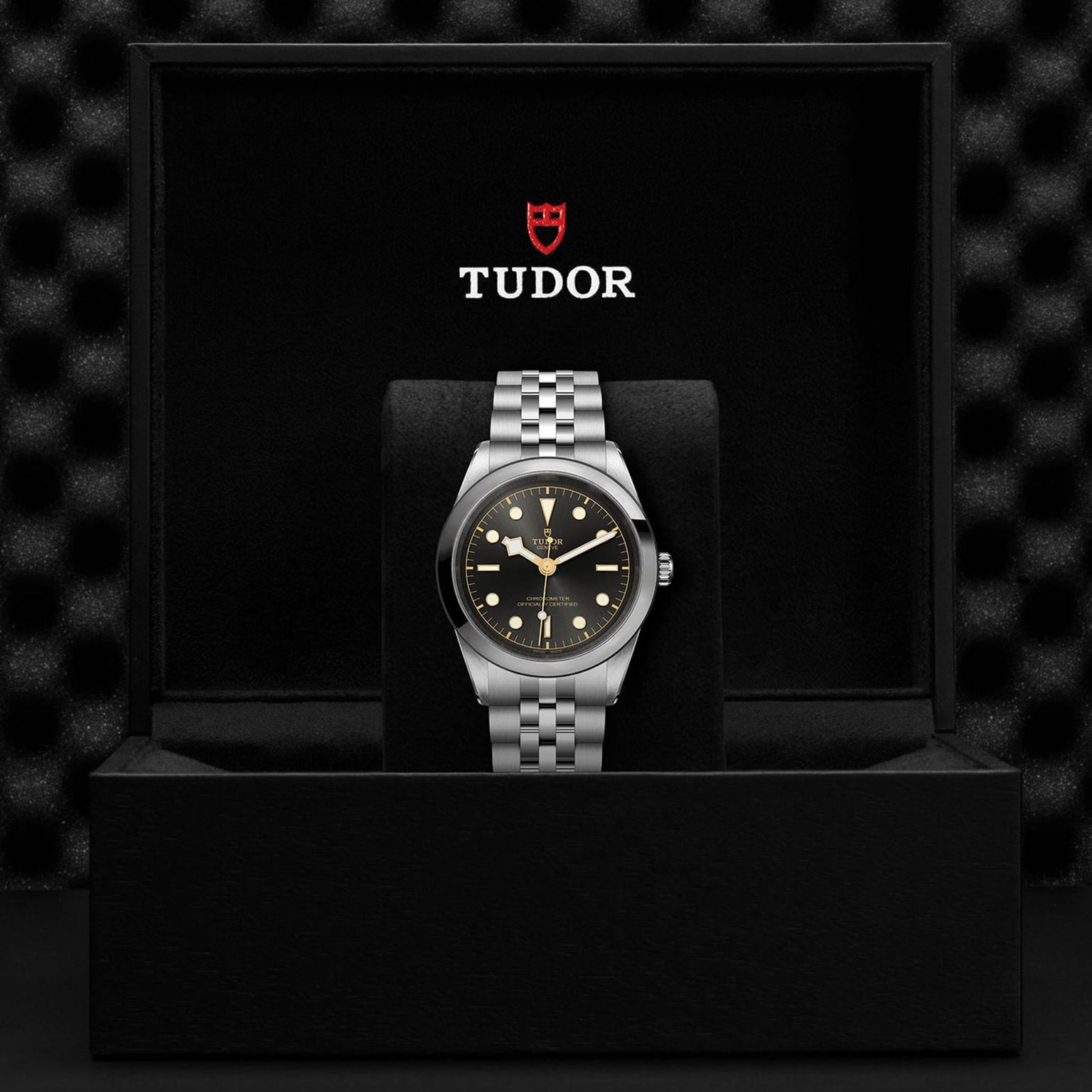 The TUDOR Black Bay One 41, a silver wristwatch with a black dial and gold accents, is presented in an open black TUDOR box with logo branding, exuding classic unisex style inspired by Black Bay models.