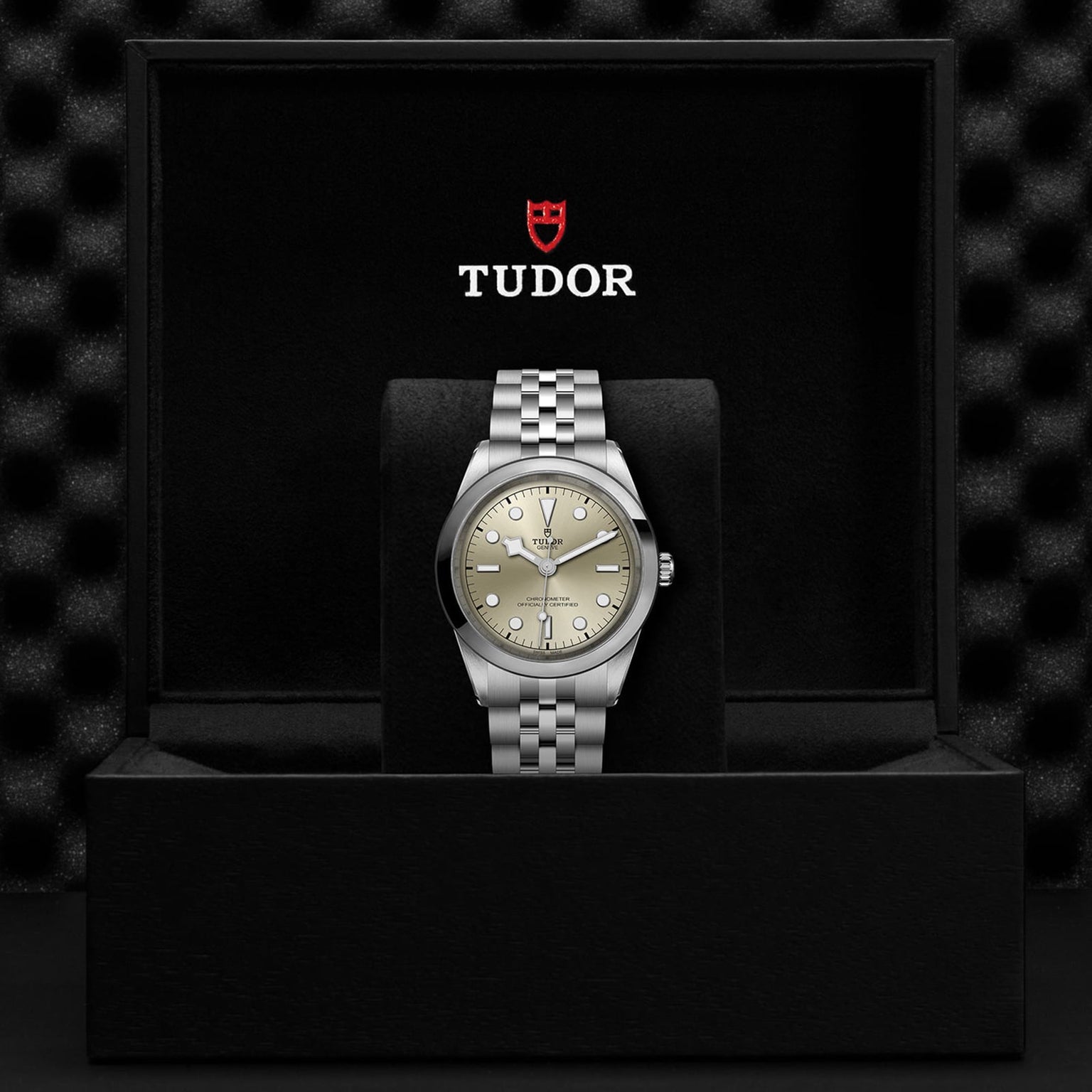 The Black Bay One 41 by TUDOR, a silver unisex wristwatch with a metallic bracelet, is displayed in an open black TUDOR box against a textured dark background, highlighting refined Manufacture Calibres and modern elegance.