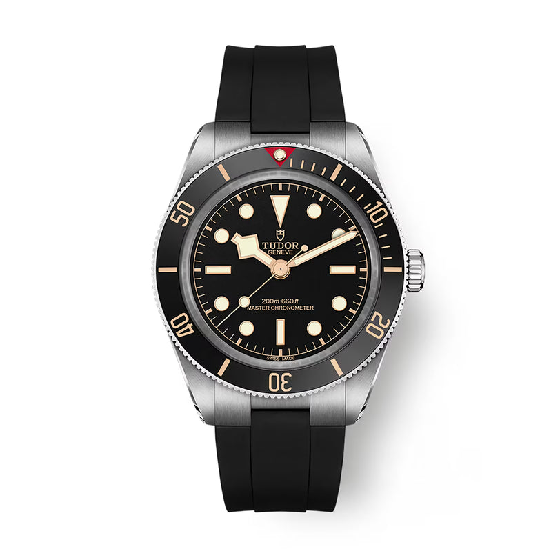 Tudor Black Bay 58 watch with brushed steel case, black dial, luminous hour markers, and black rubber strap.