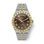 TUDOR Royal watch with two-tone steel and gold bracelet, brown dial, Roman numerals, day-date window, and gold bezel.