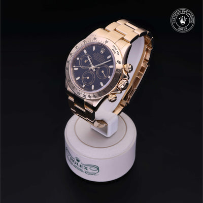 Rolex Certified Pre-owned Daytona M116528-0014 front on black background