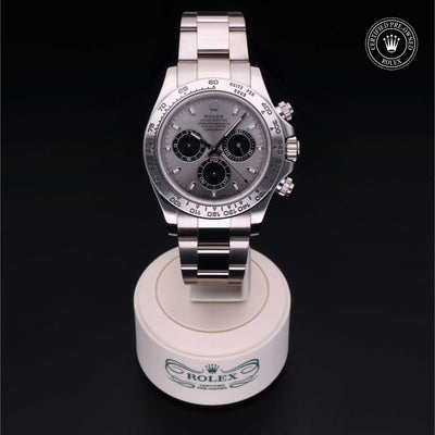 Rolex Certified Pre-owned Daytona M116509-0071 front on black background