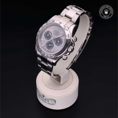 Rolex Certified Pre-owned Daytona M116509-0071 front on black background