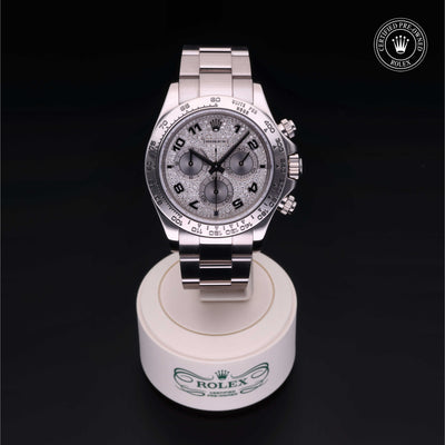 Rolex Certified Pre-owned Daytona M116509-0025 front on black background