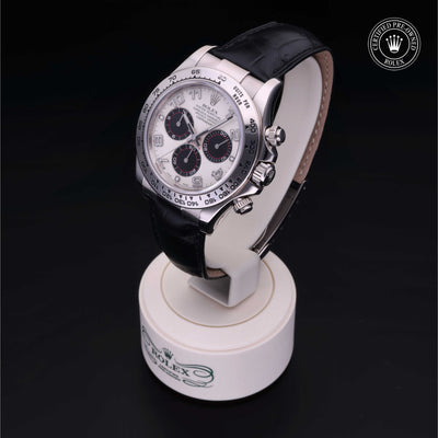 Rolex Certified Pre-owned Daytona M116519-0167 front on black background