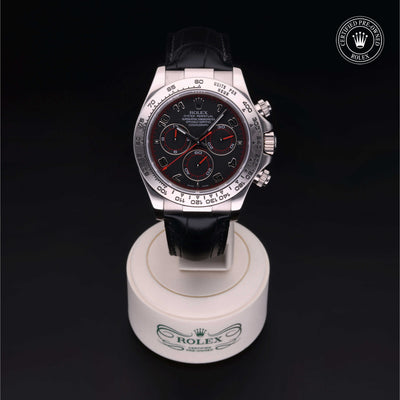 Rolex Certified Pre-owned Daytona M116519-0046 front on black background