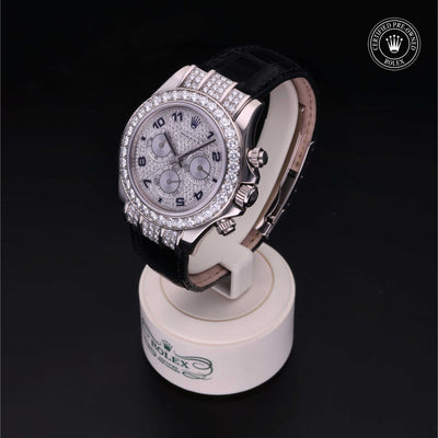 Rolex Certified Pre-owned Daytona M116599RBR-0024 front on black background