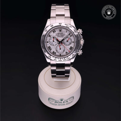 Rolex Certified Pre-owned Daytona M116509-0056 front on black background