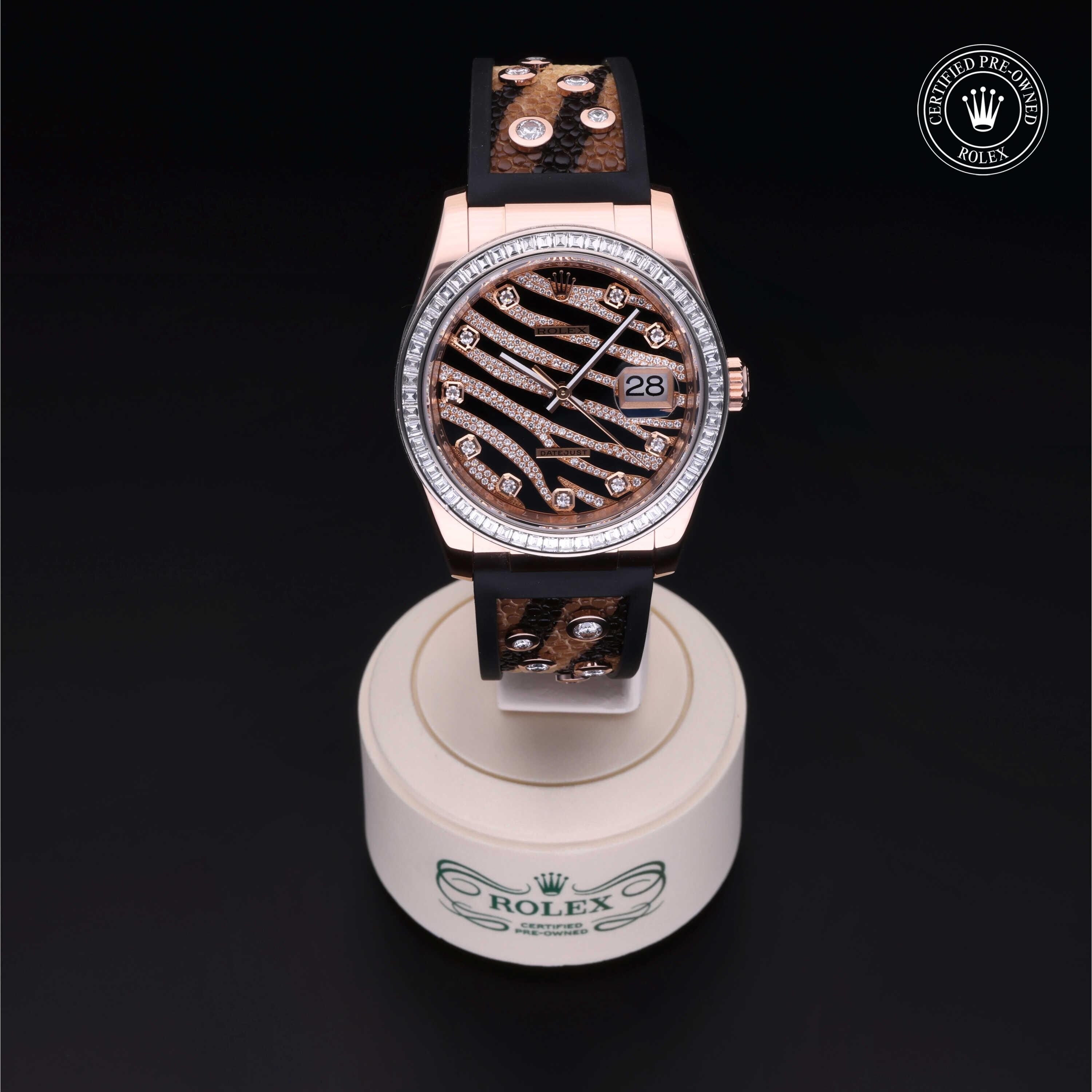 Rolex CPO Datejust M116185BBR front on white background