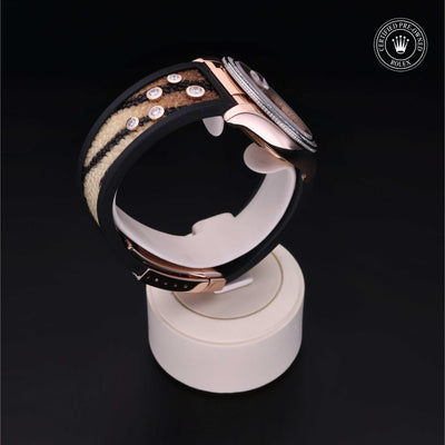 Rolex CPO Datejust M116185BBR front on white background