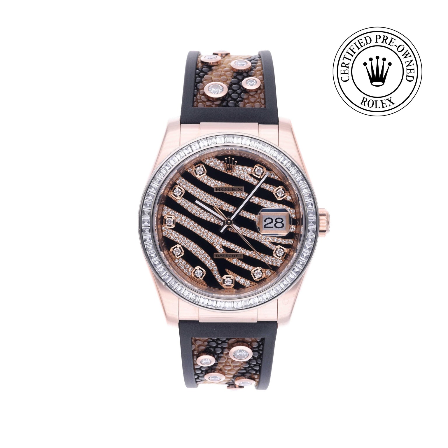 Rolex CPO Datejust M116185BBR front on white background