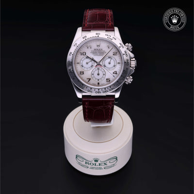 Rolex Certified Pre-owned Daytona M16519-0002 front on black background