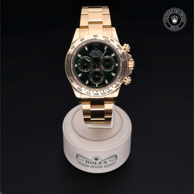 Rolex Certified Pre-owned Daytona M116508-0013 front on black background