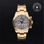 Rolex CPO Daytona M116528 front on white background