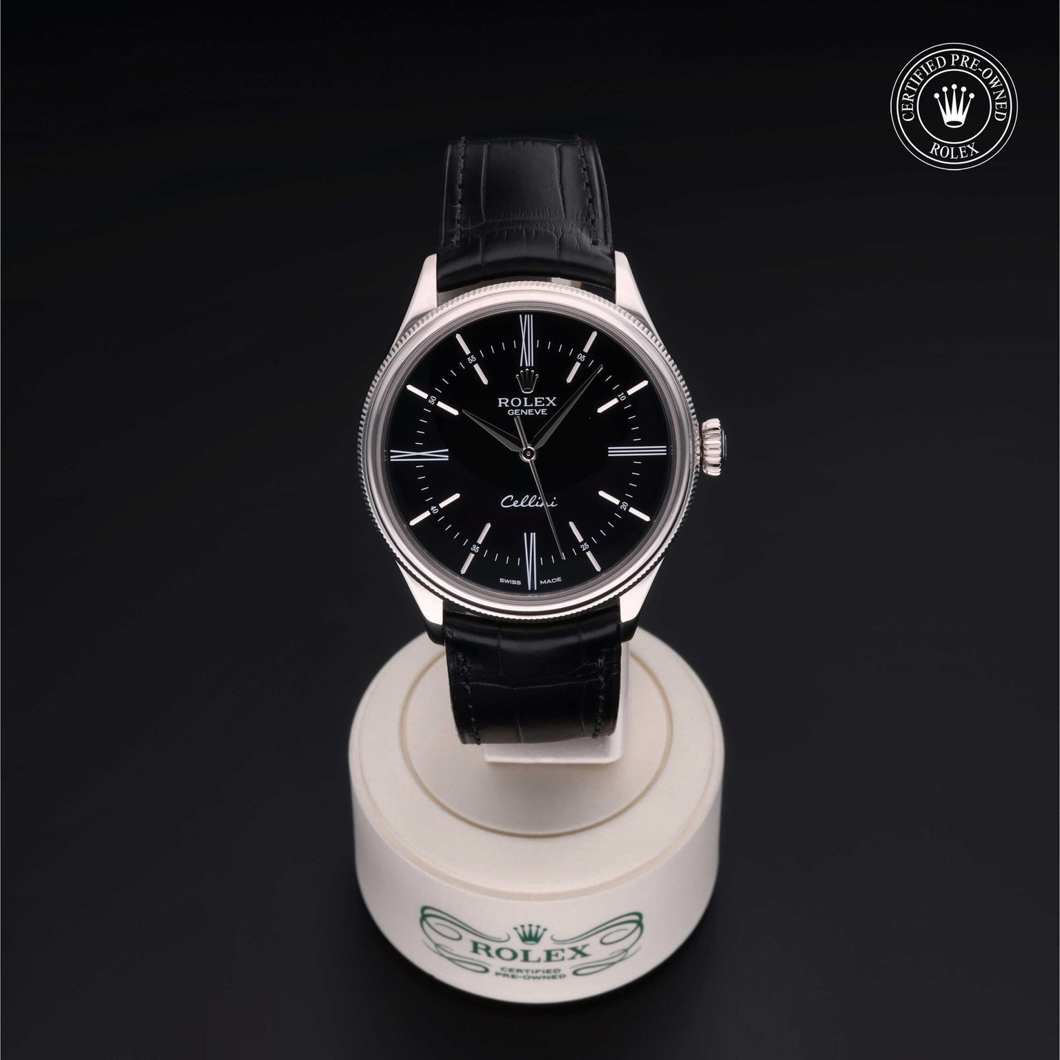 Rolex CPO Cellini M50509 front on white background