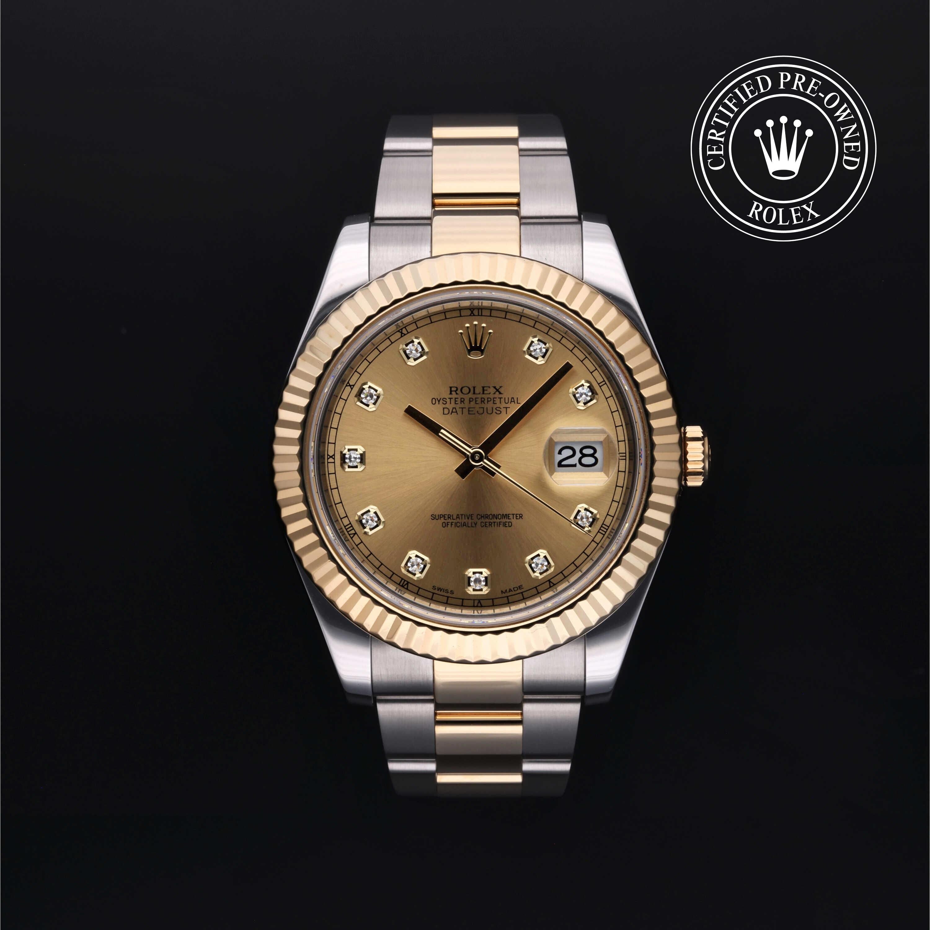 Rolex CPO Datejust M116333 front on white background