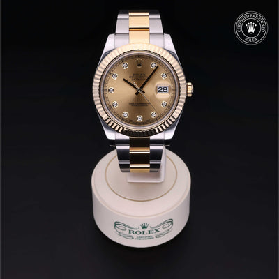 Rolex CPO Datejust M116333 front on white background