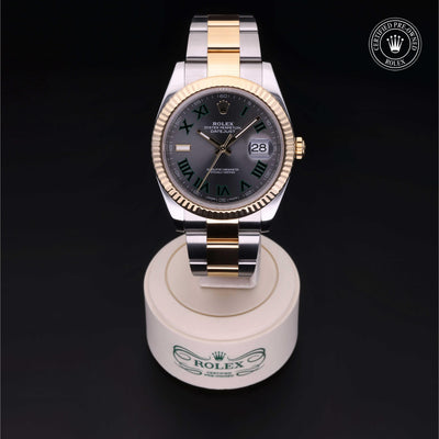 Rolex CPO Datejust M126333 front on white background