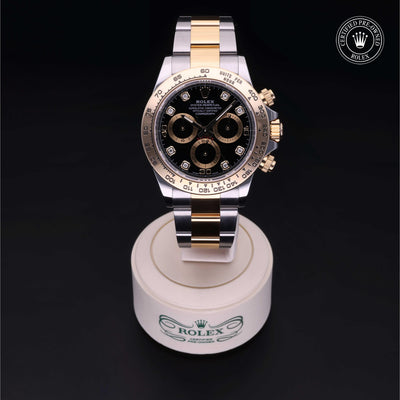 Rolex CPO Daytona M116503 front on white background