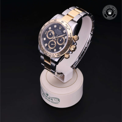 Rolex CPO Daytona M116503 front on white background