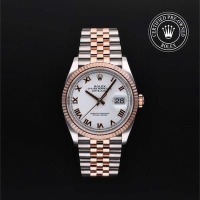 Rolex CPO Datejust M126231 front on white background
