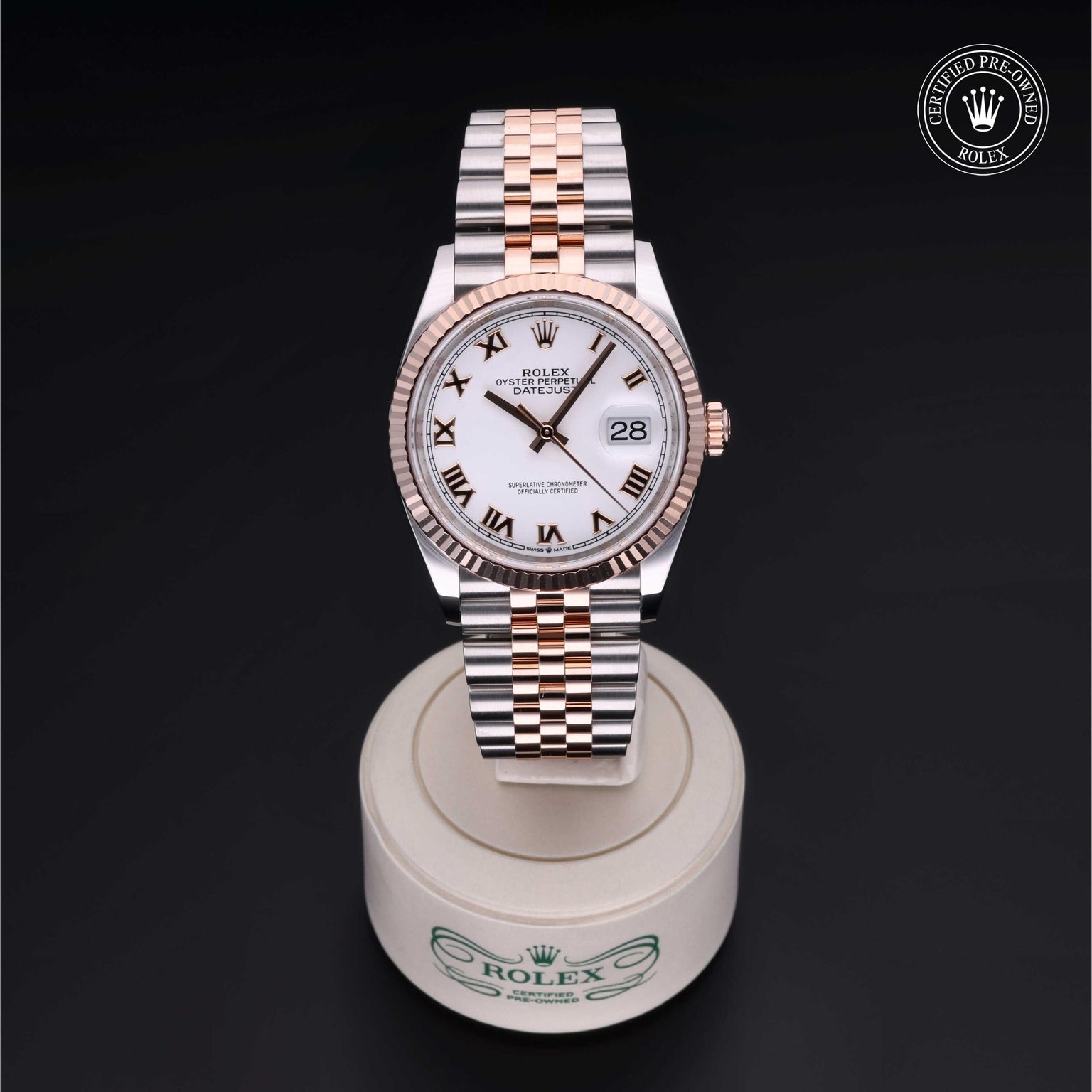 Rolex CPO Datejust M126231 front on white background