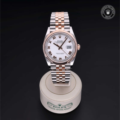 Rolex CPO Datejust M126231 front on white background