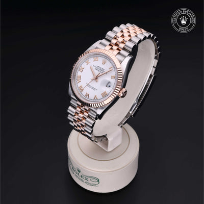 Rolex CPO Datejust M126231 front on white background