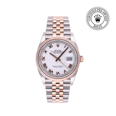 Rolex CPO Datejust M126231 front on white background